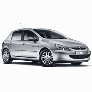 Выкуп неликвидных запчастей Peugeot Peugeot 307